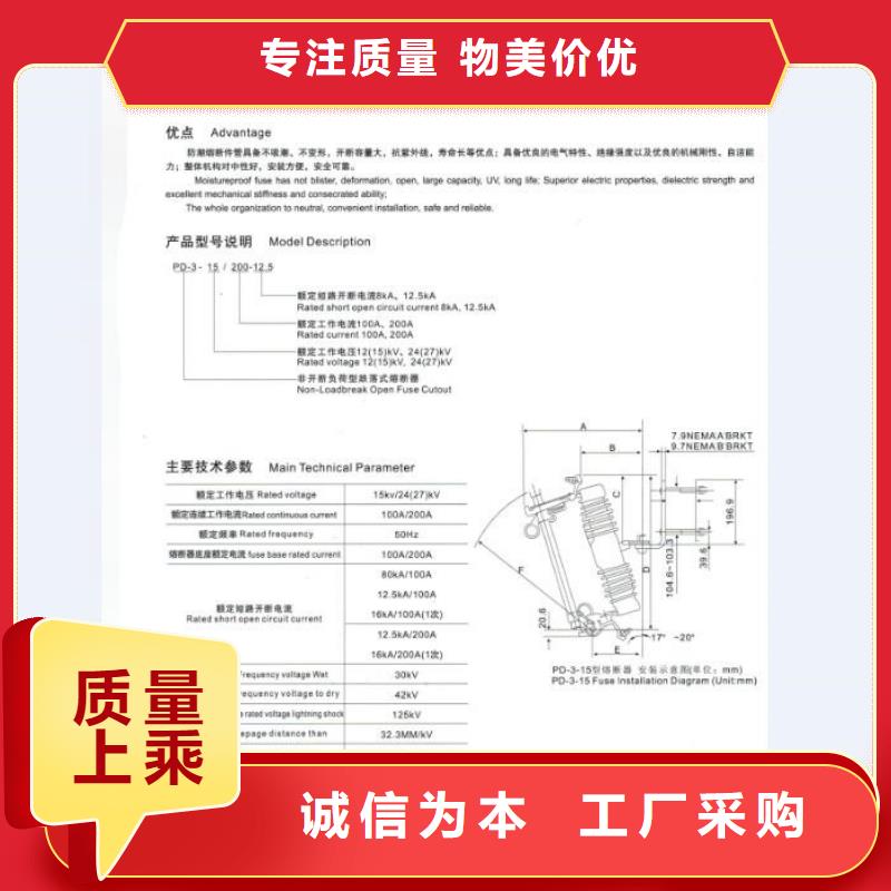 【熔断器】RW12-10/100本地厂家值得信赖