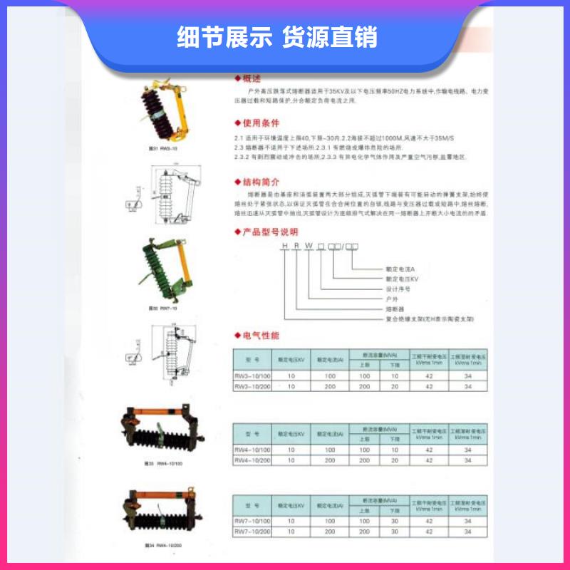 户外高压跌落式熔断器熔丝具RW12-12F/100A当地经销商