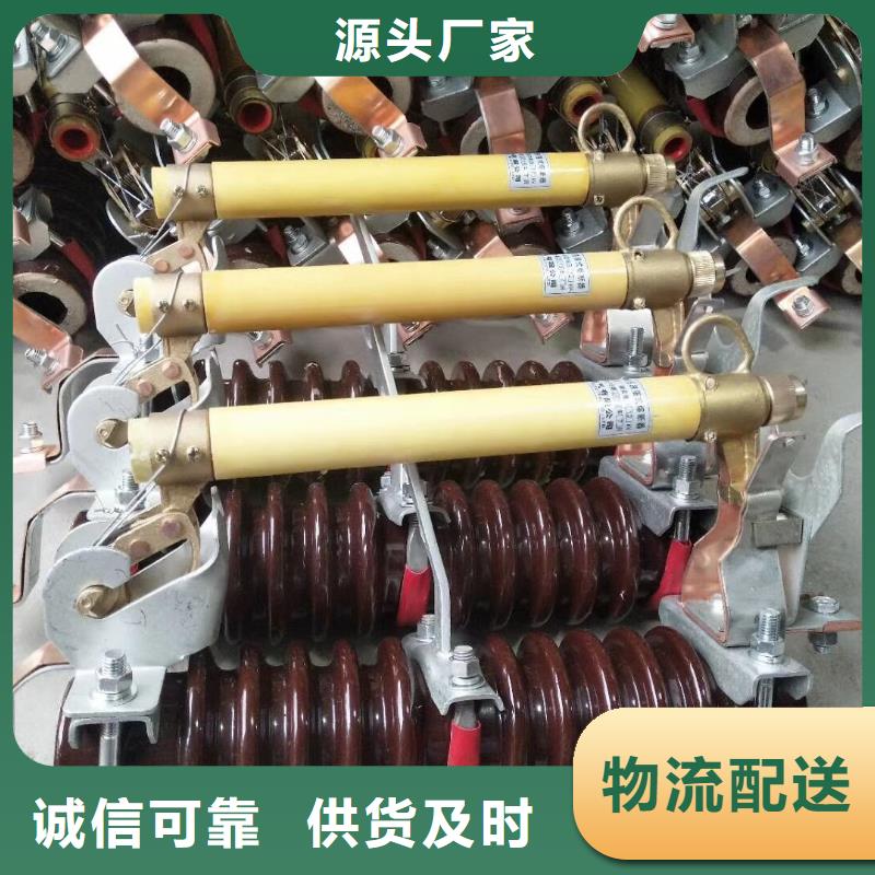 【】跌落式熔断器RW10-12KV/100A本地品牌