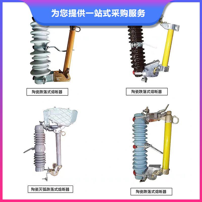 高压熔断器/RW12-15/100A.本地经销商