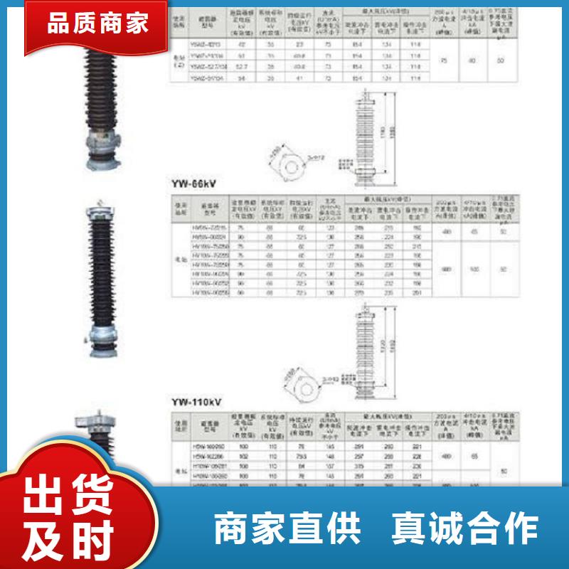 避雷器YH10W-96/232【羿振电气】当地服务商