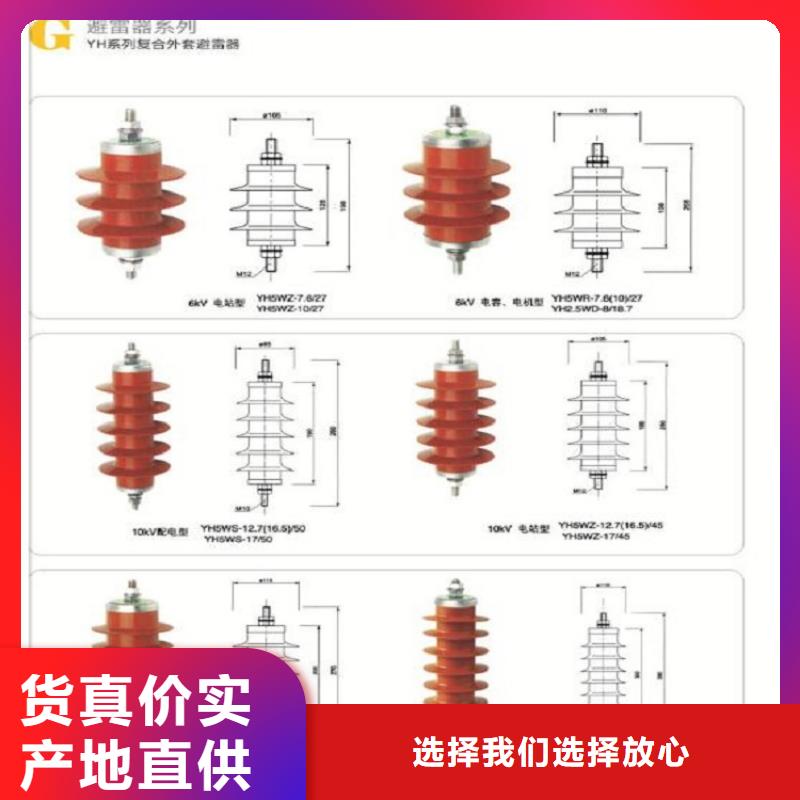 避雷器Y10W-200/520N年专注