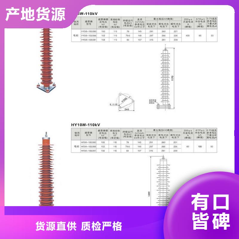 【羿振电气】避雷器Y10W-96/250的简单介绍