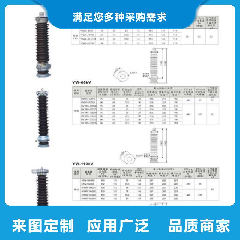 【】避雷器YH10WT5-100/290L【羿振电气】量大从优