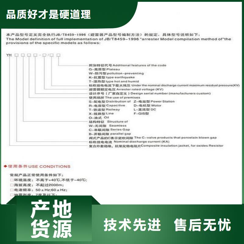 避雷器Y10W-100/260上海羿振电力设备有限公司大厂家实力看得见