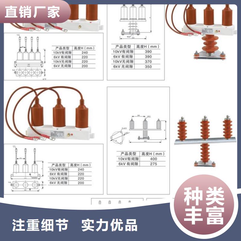 【】过电压保护器(组合式避雷器)TBP-A-42/630W诚信经营质量保证