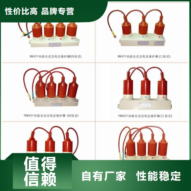 【】过电压保护器(组合式避雷器)SYB-B-12.7KV/131-J同城经销商