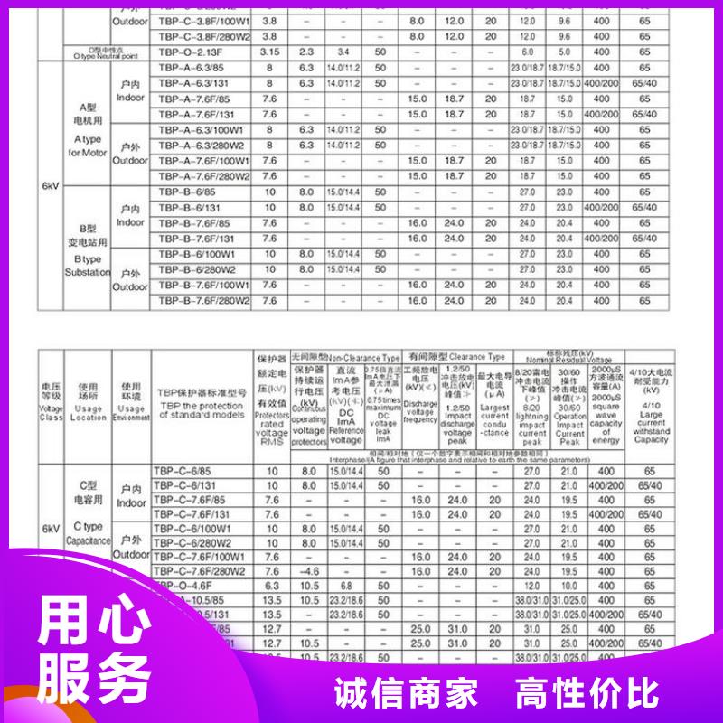 【】保护器(组合式避雷器)BSTG-A-12.7F/131好产品不怕比