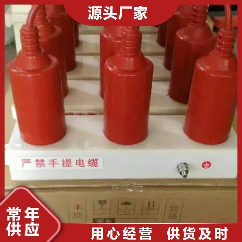 【】过电压保护器(组合式避雷器)TBP-C-12.7F/100W1本地品牌