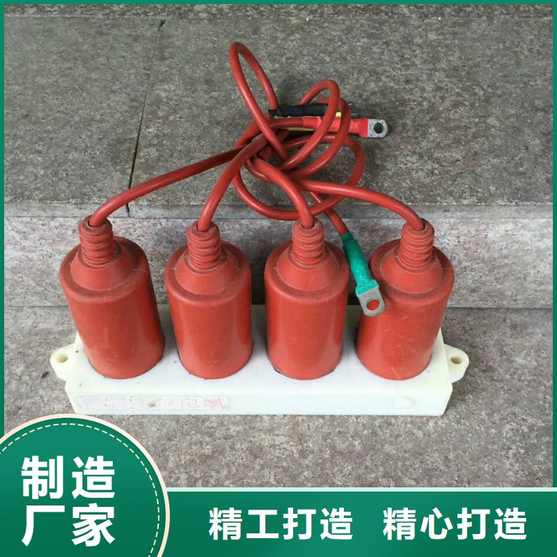 【】保护器(组合式避雷器)RTB-R-12.7KV/85-N当地生产商