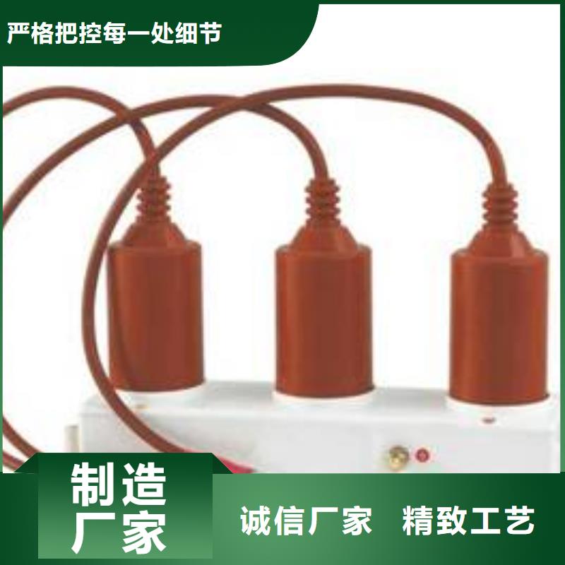 【】保护器(组合式避雷器)TBP-A-7.6F/120产地源头好货