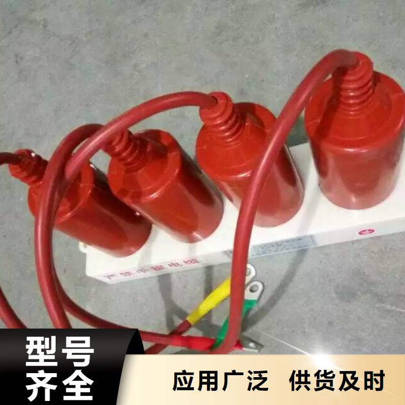 【】保护器(组合式避雷器)GX系列组合过电压保护器同城厂家