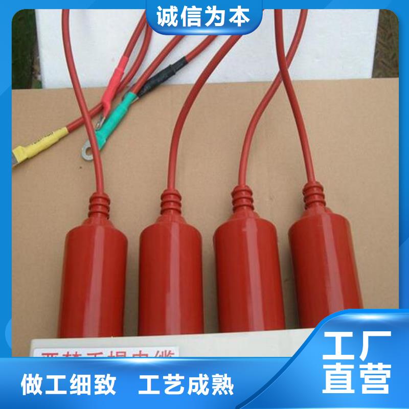 过电压保护器(组合式避雷器)SHK-TBP-A-12.7/100W1今年新款