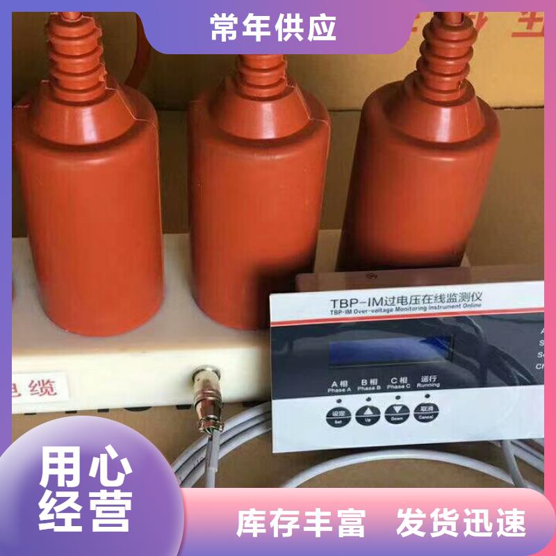 【组合式避雷器】YH5CD-17.5/36*2种类多质量好