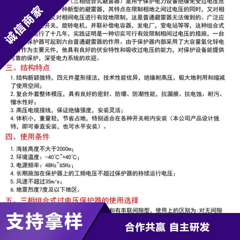 【】过电压保护器(组合式避雷器)TBP-A-42/310货源报价