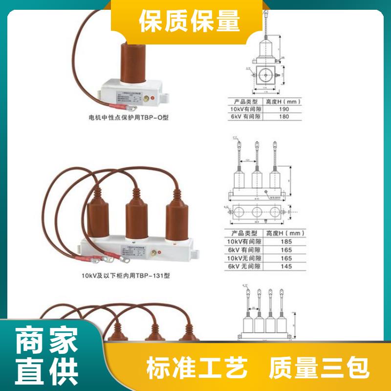 【过电压保护器】TBP-A-6.3/131现货满足大量采购