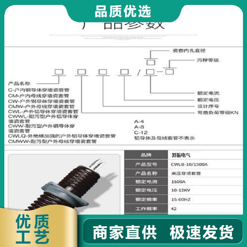 【穿墙套管】CWWL-35KV/630A-4定制批发