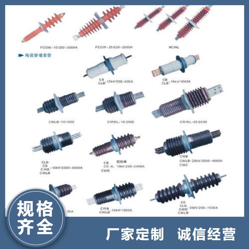 【穿墙套管】CWWL-10KV/1600A当地货源