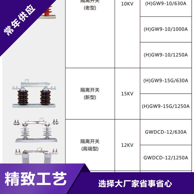 HGW9-10G(W)/630A同城公司