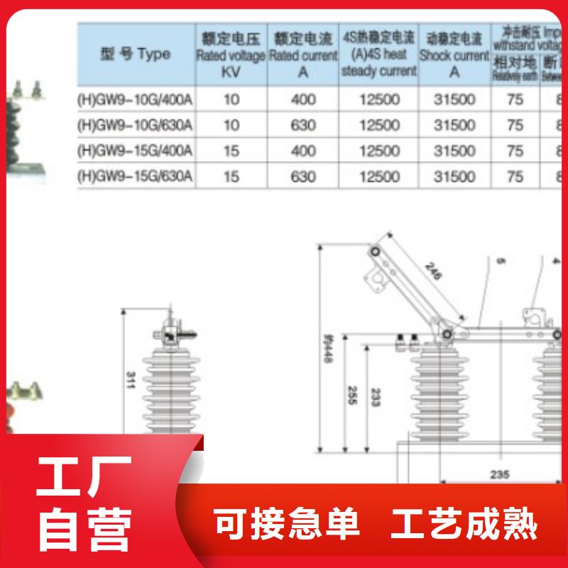 【户外隔离刀闸】GW9-12/200货源稳定