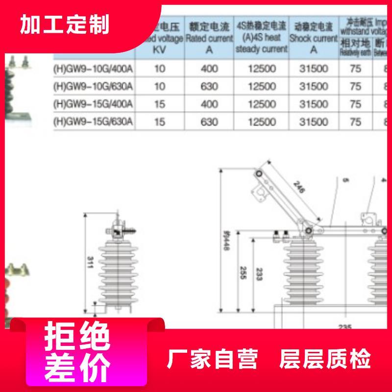 【户外高压交流隔离开关】GW9-15KV/200A本地供应商