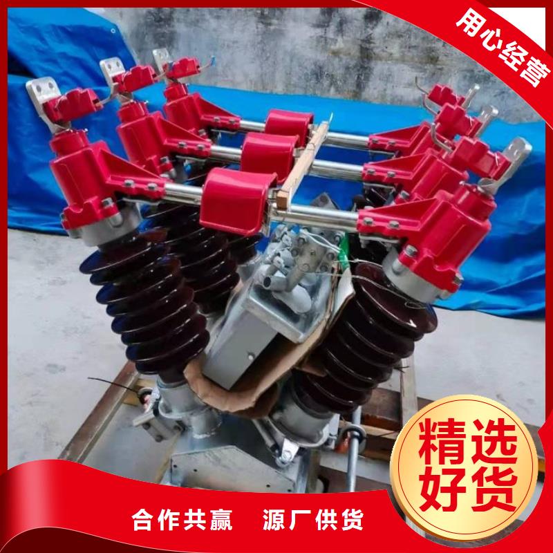 户外高压隔离开关HGW1-10KV/400同城生产商