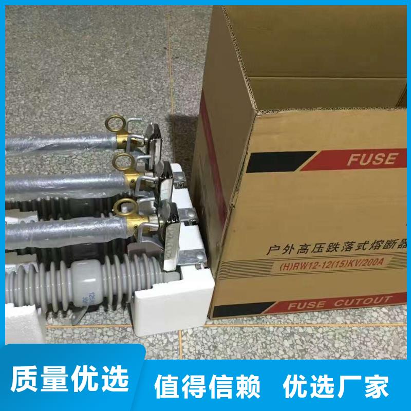 【跌落式熔断器】RW12-12F-100A用心做好每一件产品