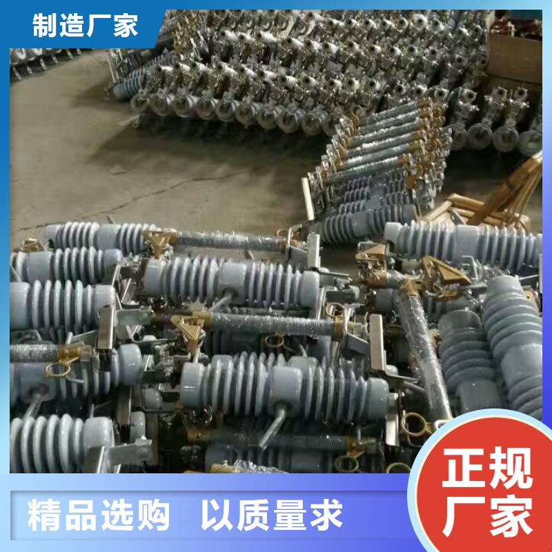 高压熔断器/HPRW12-24KV/100A对质量负责