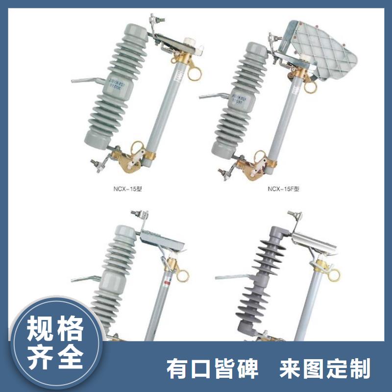 高压熔断器-RW11-10KV-HRW11-10KV【浙江羿振电气有限公司】本地配送