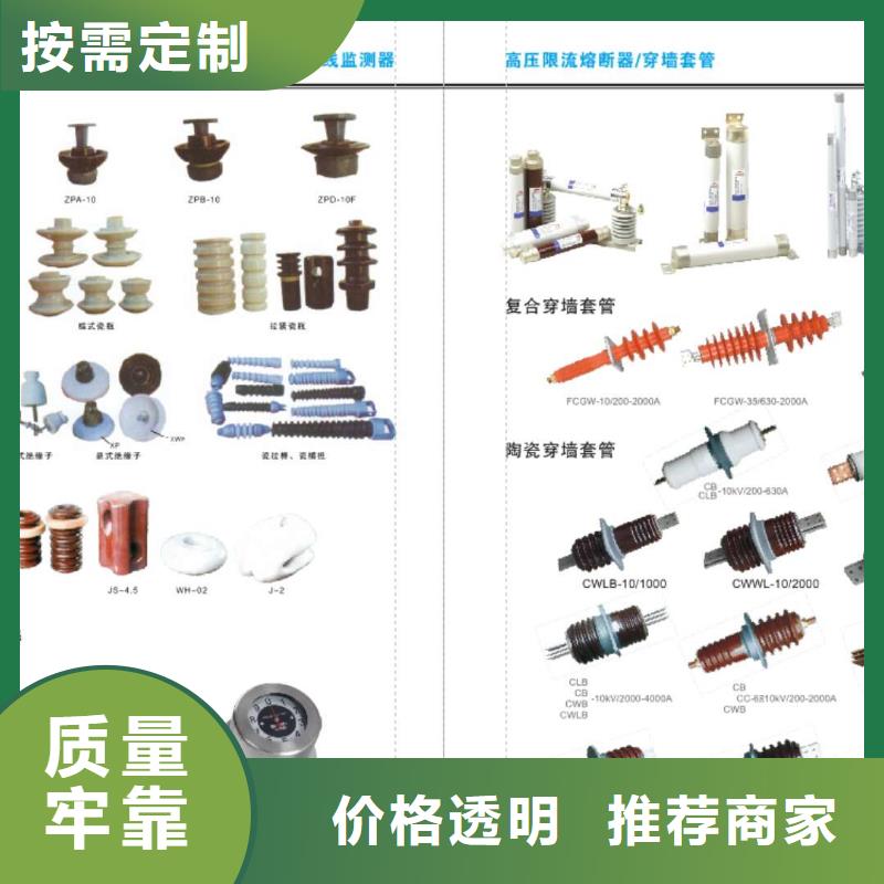 /柱上负荷开关＿AC10kV＿630A＿25kA＿真空＿用户分界（带自动化接口）/厂家供货质量看得见