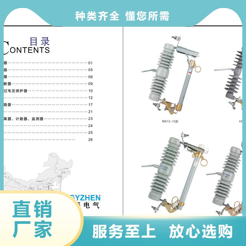 ZB-10Y_支持绝缘子【浙江羿振电气有限公司】现货充裕