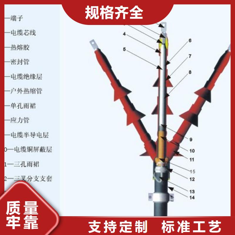 【热缩电缆终端头RSWY-3/2-20KV】丰富的行业经验