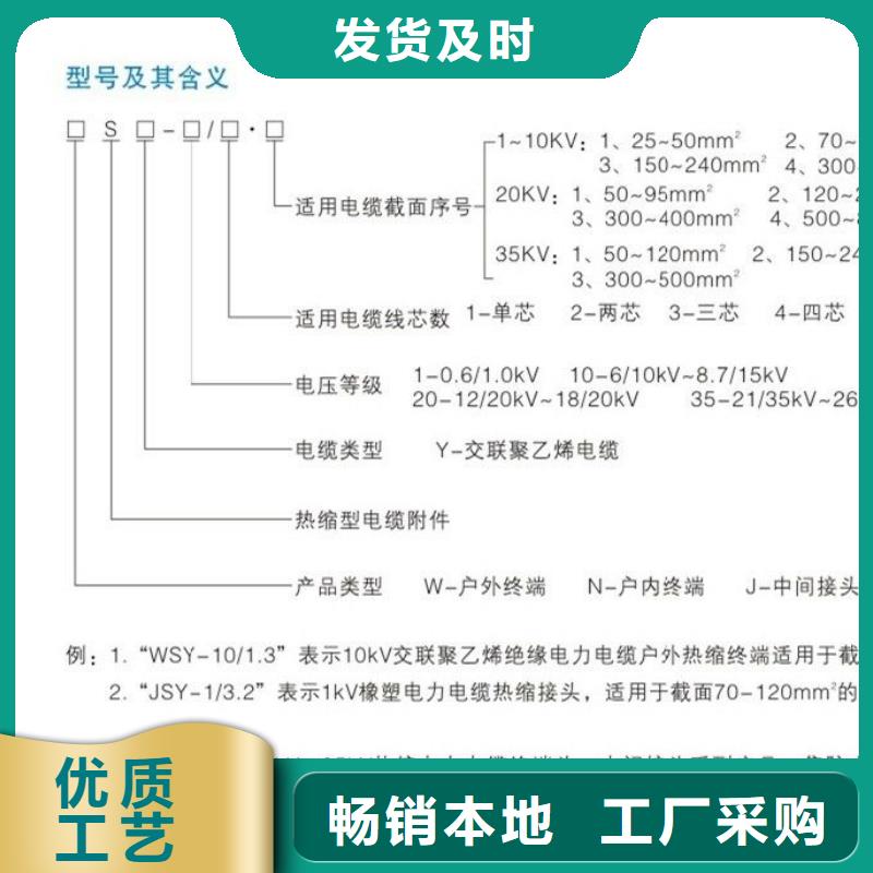 户内热缩电缆终端头NSY-35/3.1现货销售