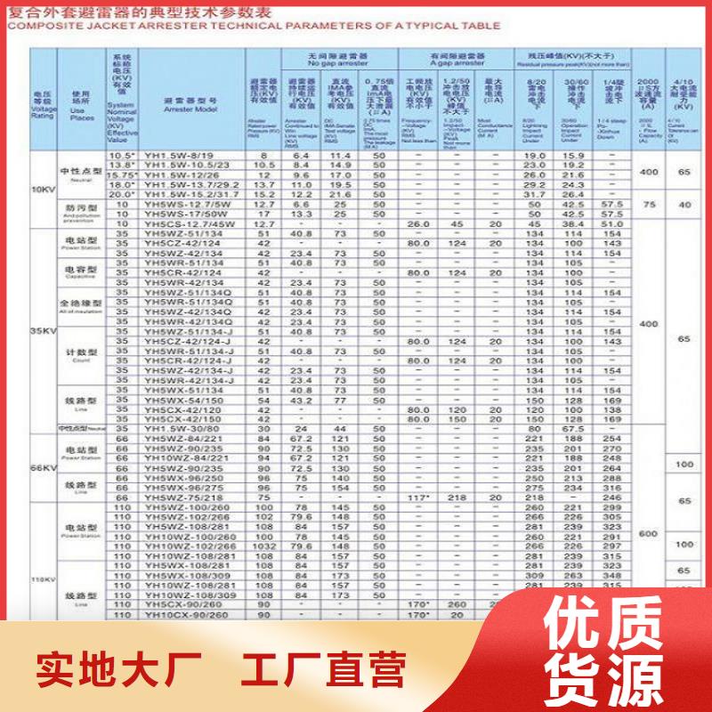 避雷器【HY10WZ-51/134】丰富的行业经验