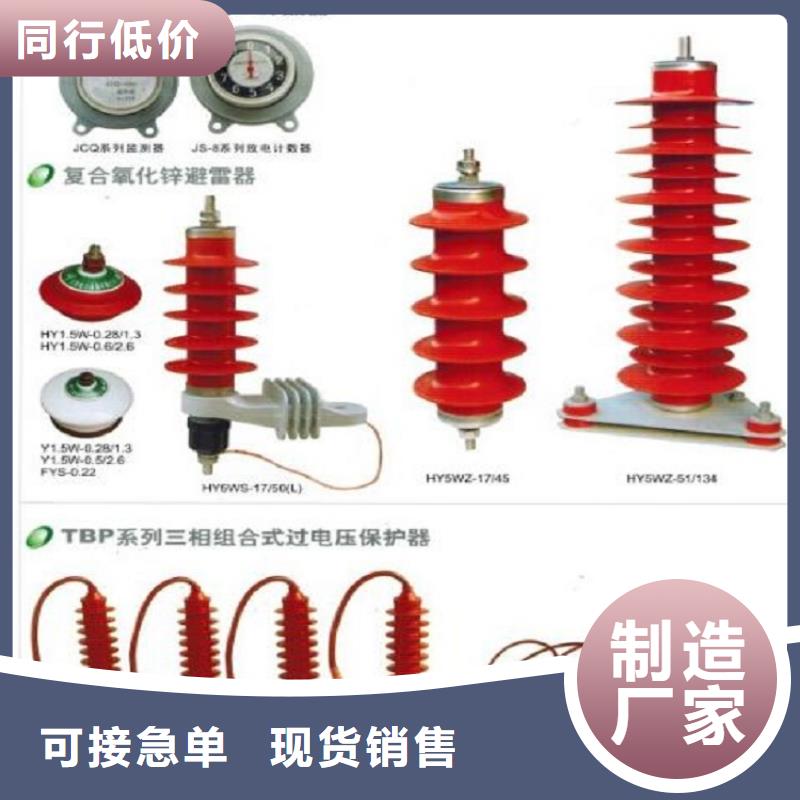 氧化锌避雷器Y10WZ-92/232种类齐全专业按需定制