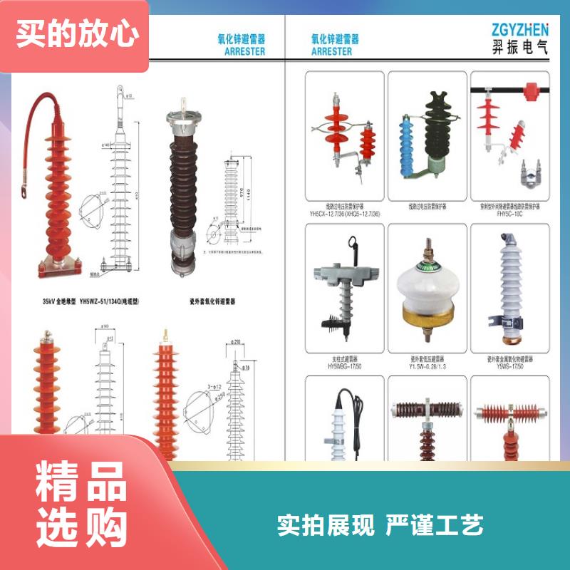 金属氧化物避雷器Y10W-102/266.用心制作