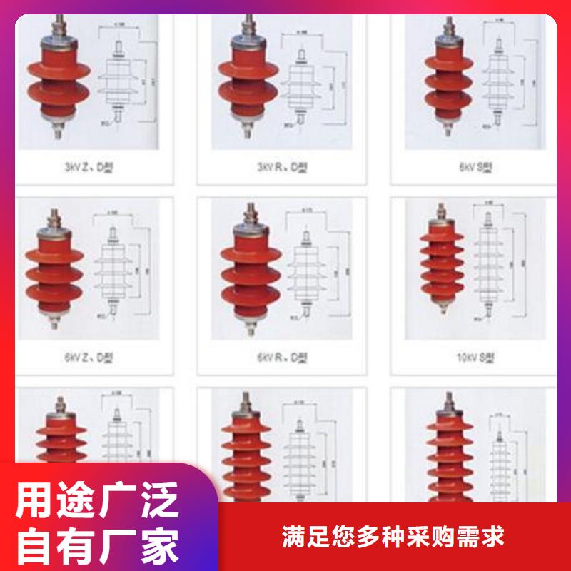 品牌：【羿振电力】避雷器Y10W-192/500源头直供