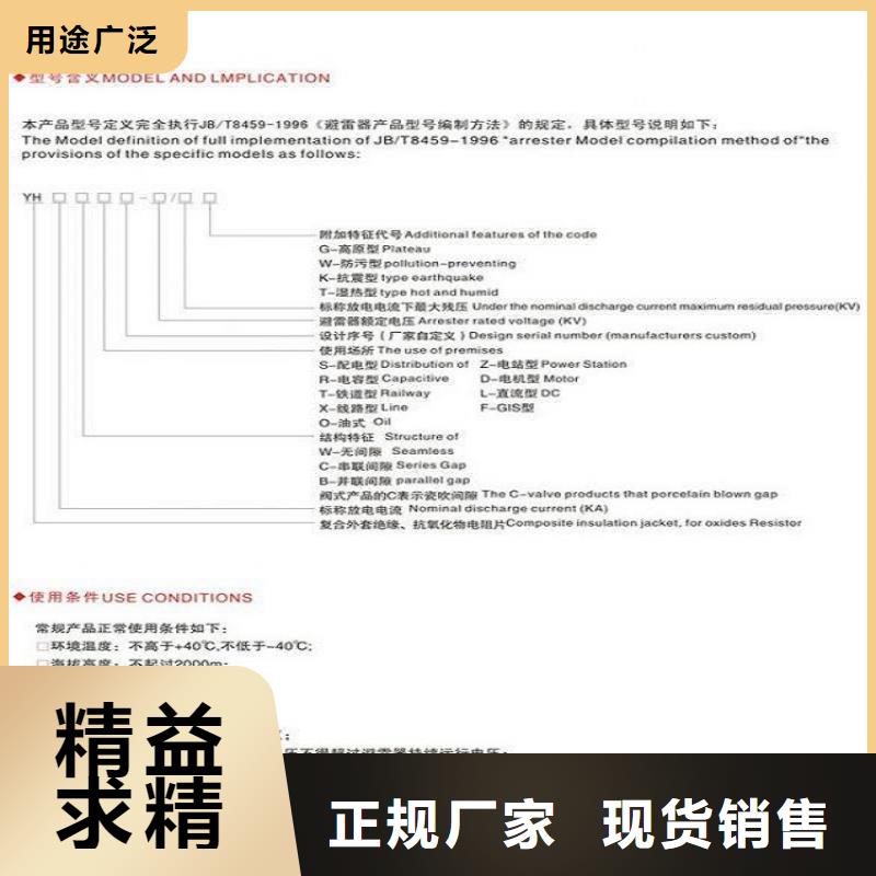 【羿振】避雷器Y5WR1-12.7/45本地生产商