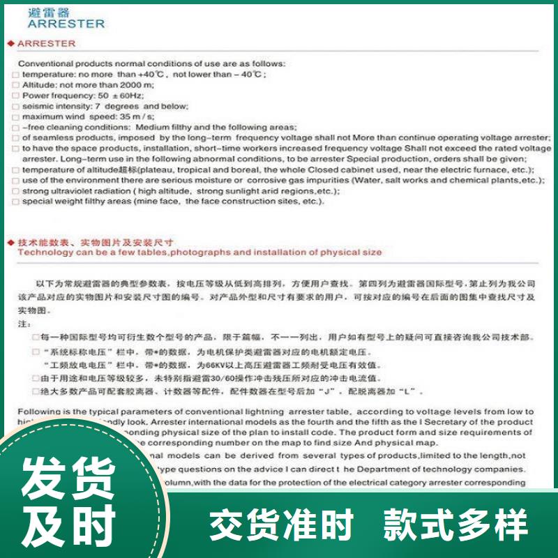 金属氧化物避雷器Y10W-102/266本地制造商