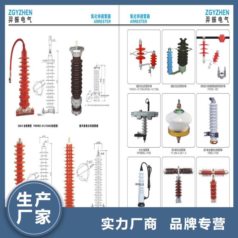 避雷器Y5W5-54/134【羿振电气】本地服务商