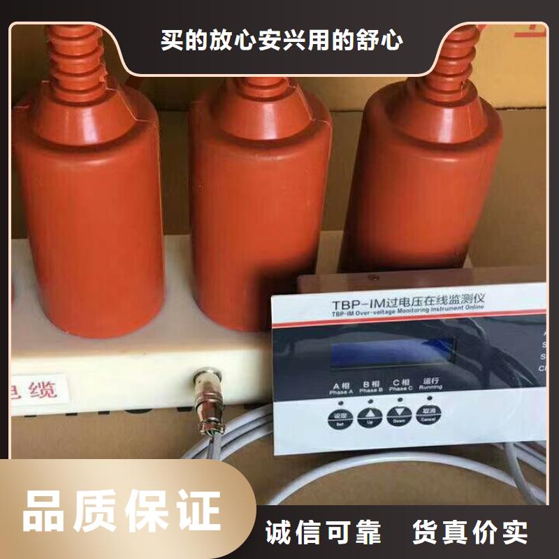 【】过电压保护器(组合式避雷器)TBP-C-7.6F/150-J现货供应