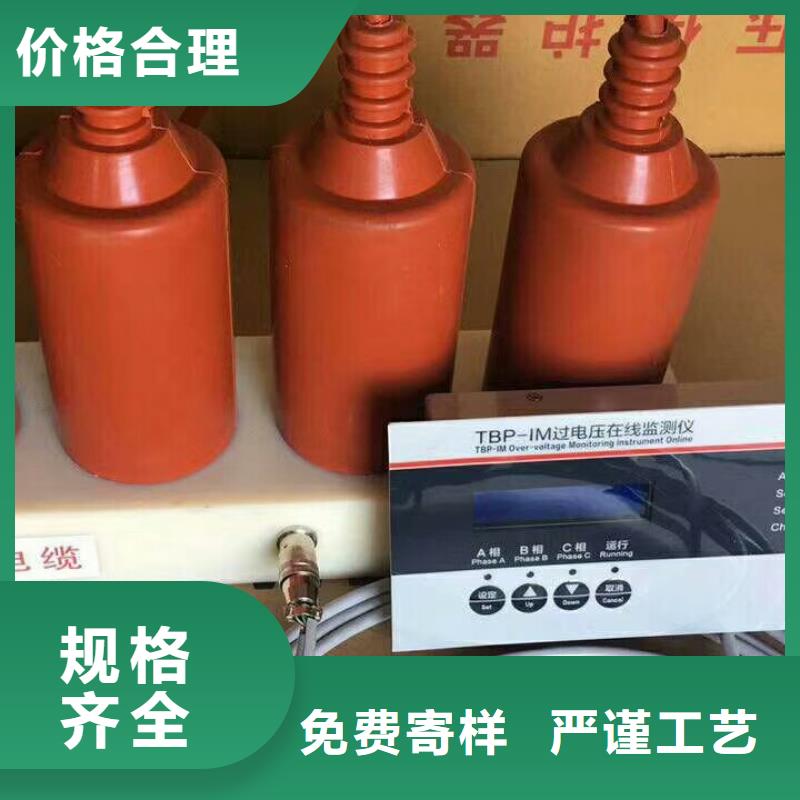 【羿振电气】保护器(组合式避雷器)TBP-C-42F/200送货上门