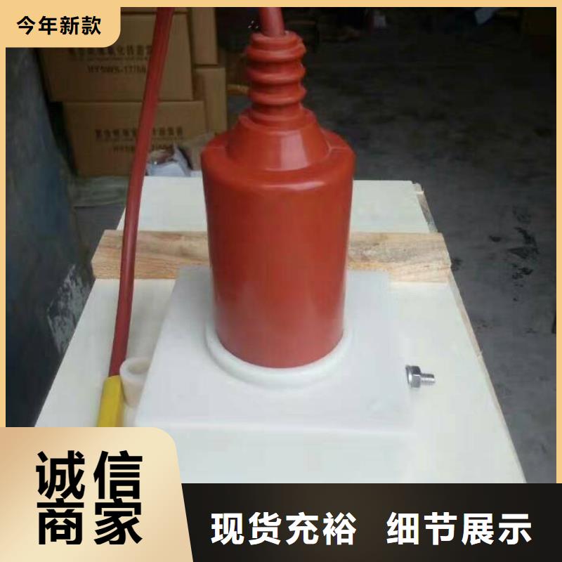 【过电压保护器/组合式避雷器】YH5WZ-17/45*2优选厂商