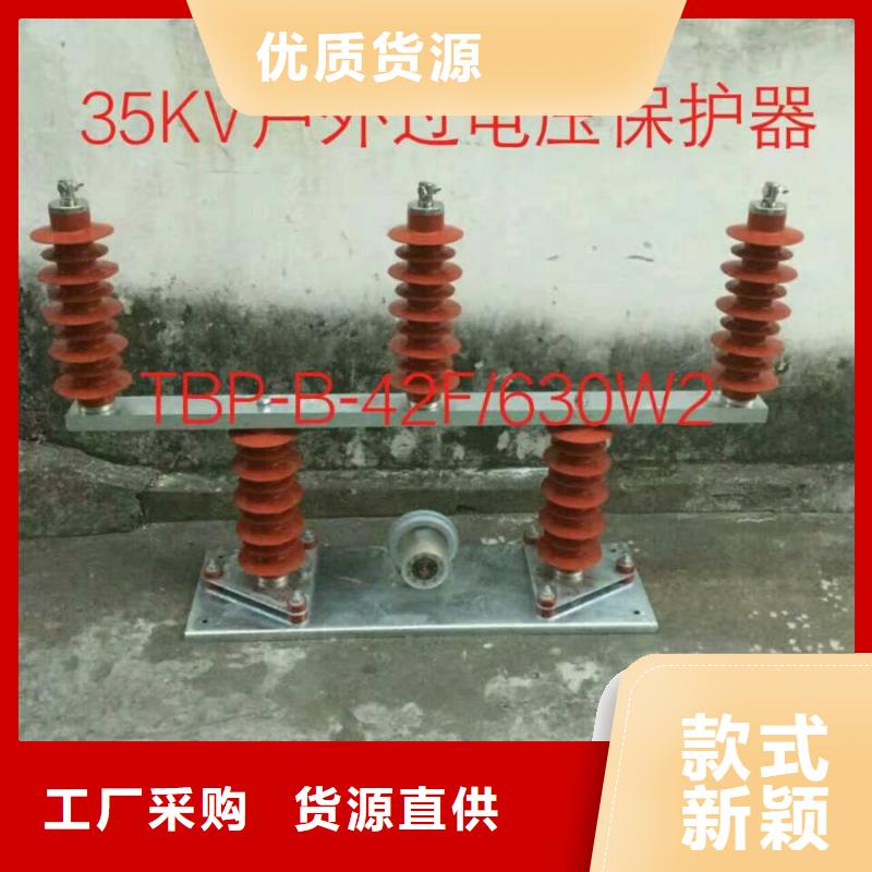 【过电压保护器/组合式避雷器】TBP-C-7.6F/150-J厂家供应