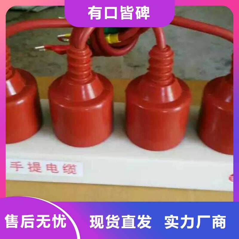 【】保护器(组合式避雷器)SYB-C-42/200品牌大厂家