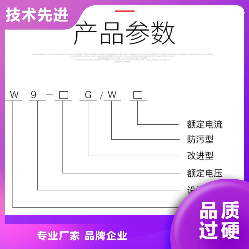 【隔离刀闸】HGW9-10W/630同城经销商