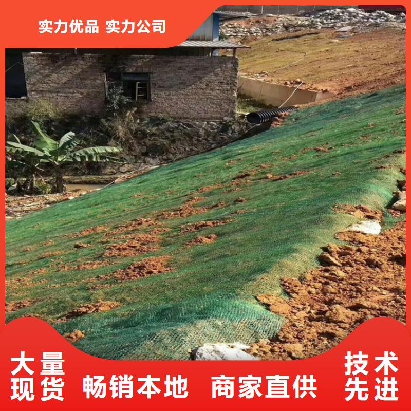 水保抗冲生物毯环保草毯为您提供一站式采购服务