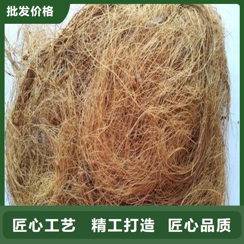 护坡植被植草毯批发附近经销商