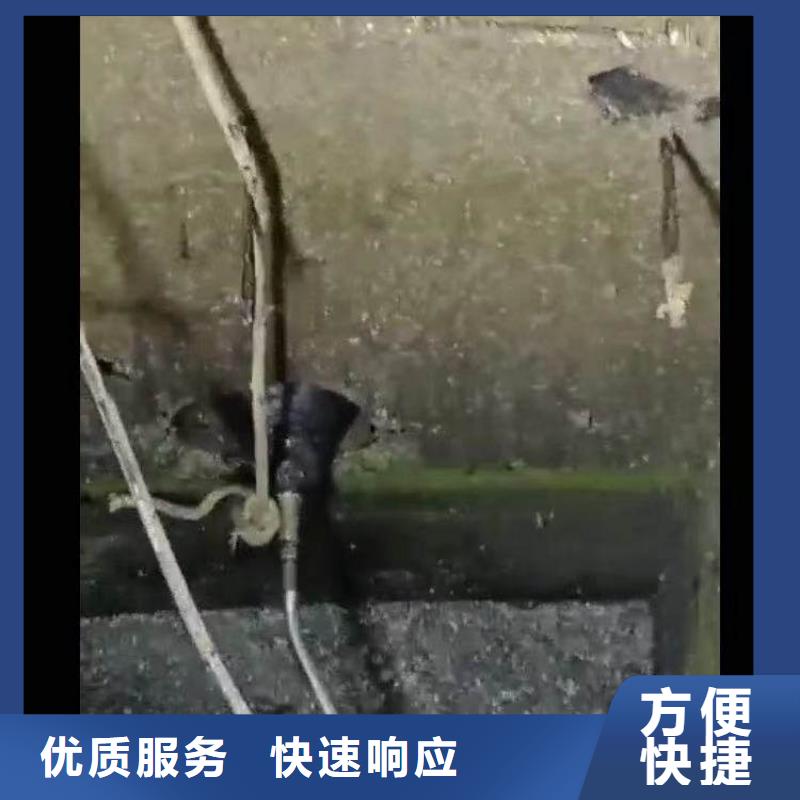 蛙人码头桥桩水下探摸拍照检测公司-厂家价格-信得过单位多年行业经验