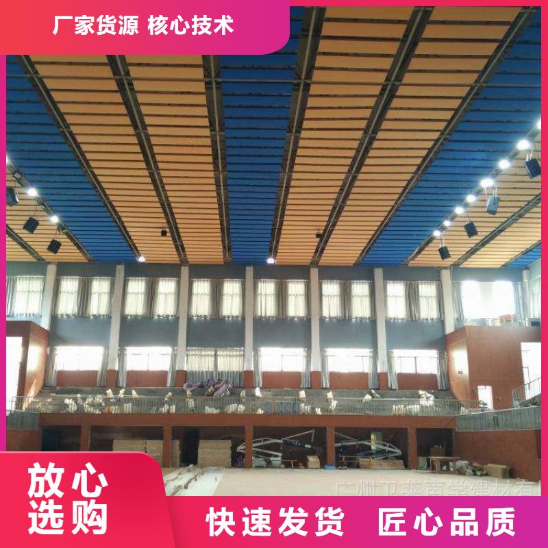 鹿寨县专业体育馆声学改造价格--2024最近方案/价格实体厂家支持定制